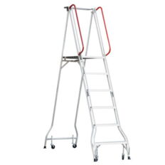 Platform ladder